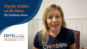 Tips for Kiddos on the Move – The Vestibular Sense