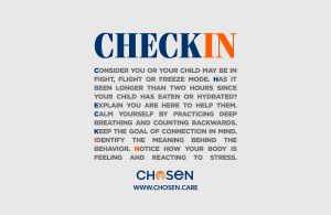 Parenting Help, Check in with your child, regulate, Self-regulation. Helping your child regulate